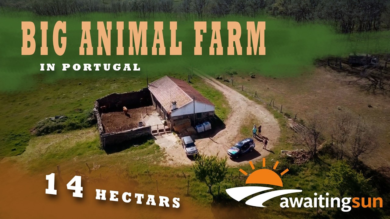 Serene 14ha Farm in Sabugal with River Access and Cozy House