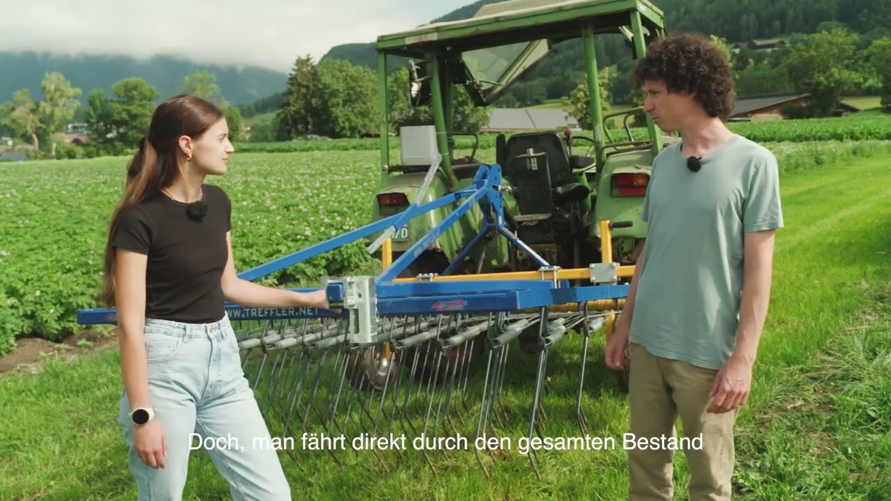 Leguminosen erfolgreich anbauen - Innovation in der Landwirtschaft