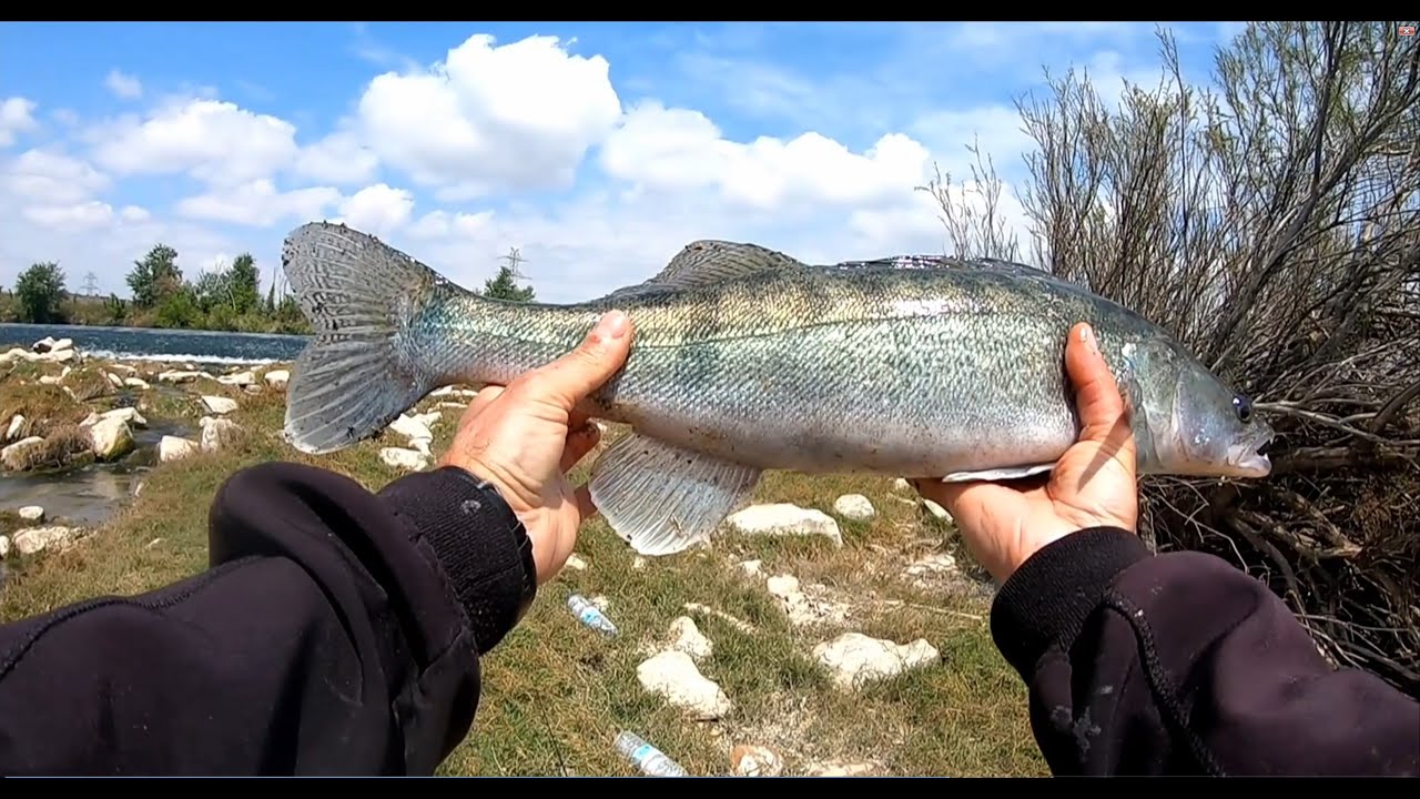 Aventuri pe Ebru! C&R 2 zile la spinning salau 20 04 2021 Part 1