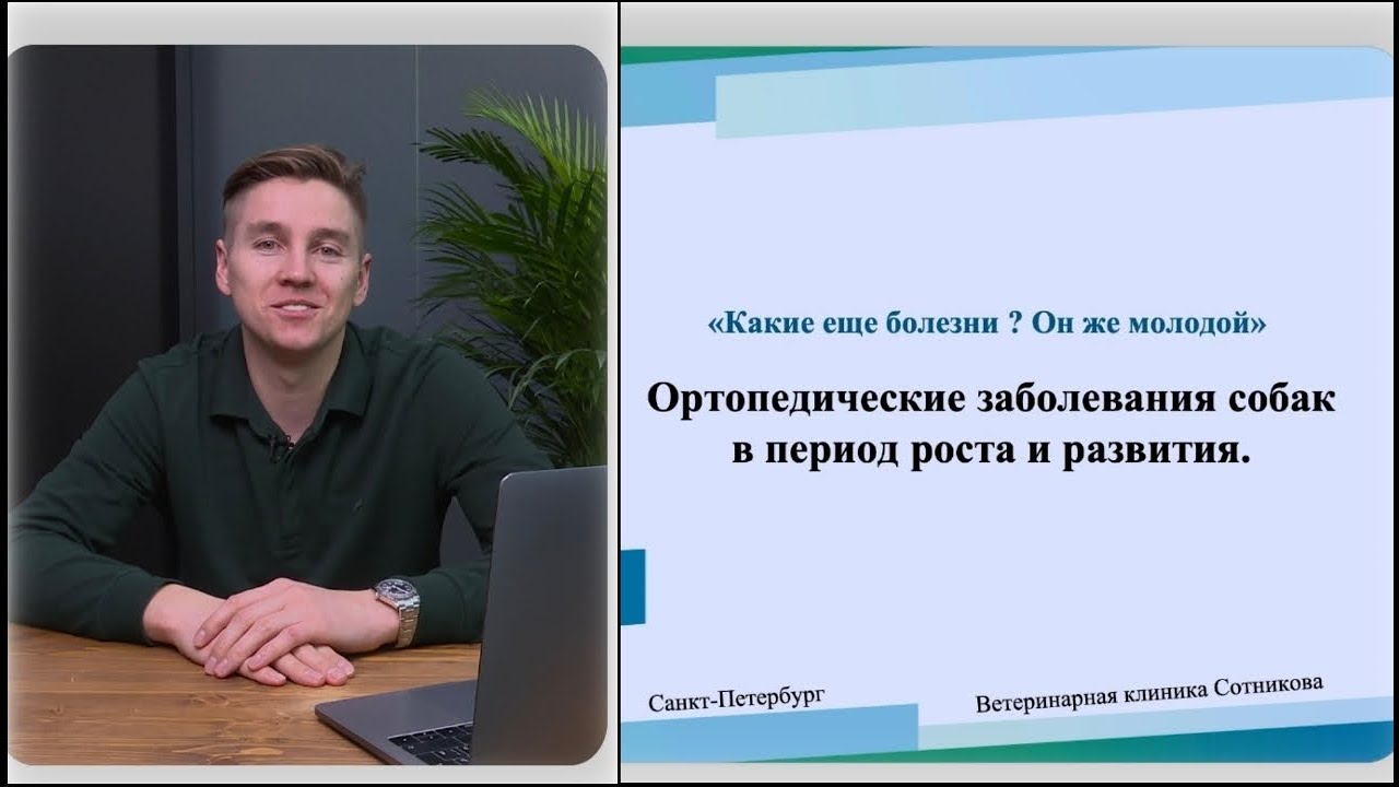 Ортопедические заболевания собак в период роста и развития.