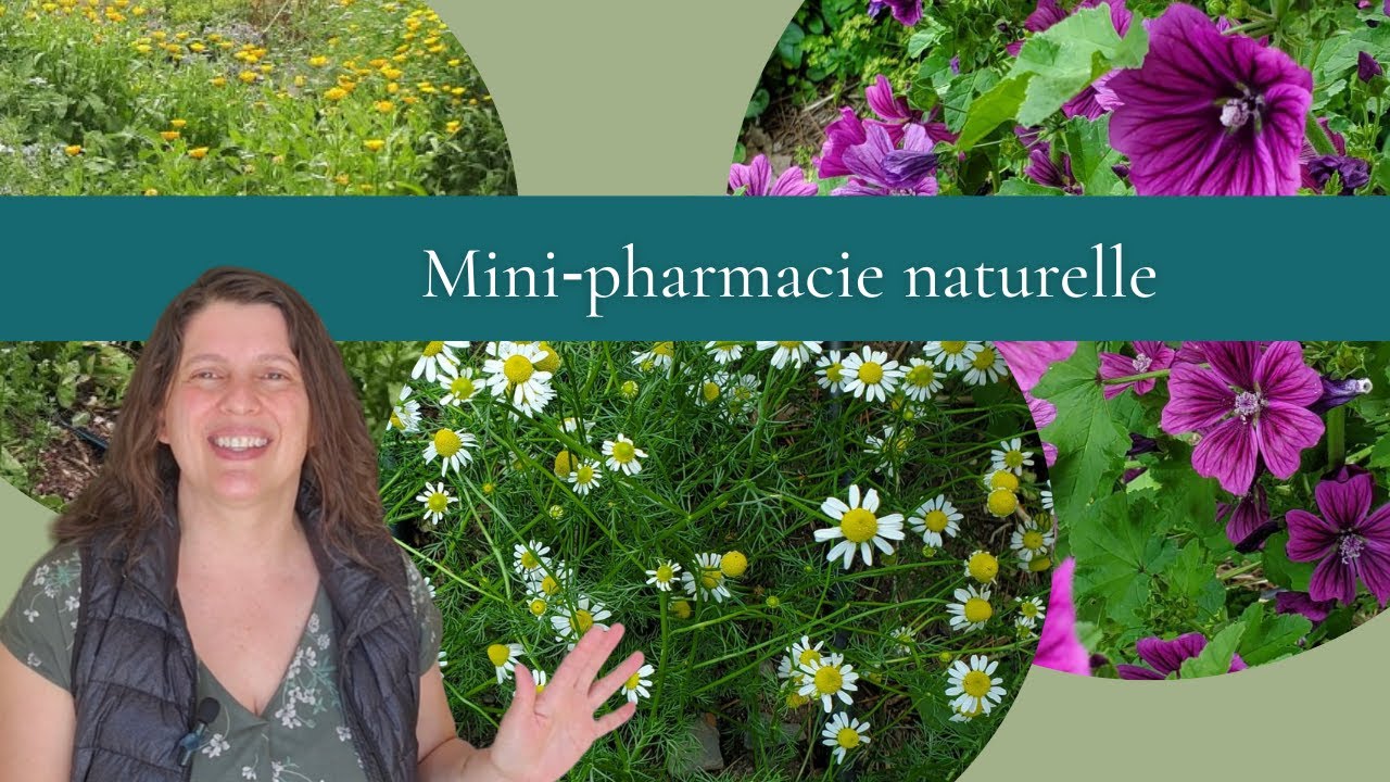 3 fleurs médicinales faciles à cultiver pour créer ta mini‑pharmacie naturelle