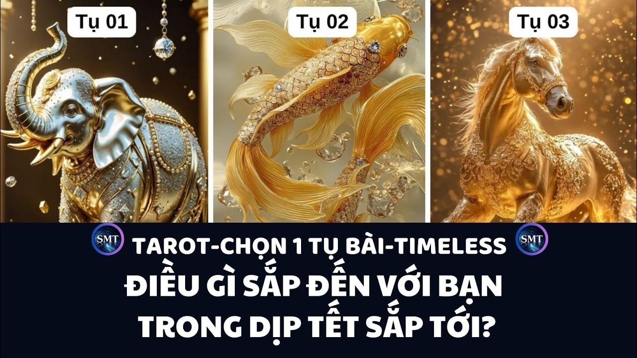 Chọn tụ bài: ĐIỀU GÌ SẮP ĐẾN VỚI BẠN TRONG DỊP TẾT SẮP TỚI? 2026 (TIMELESS)