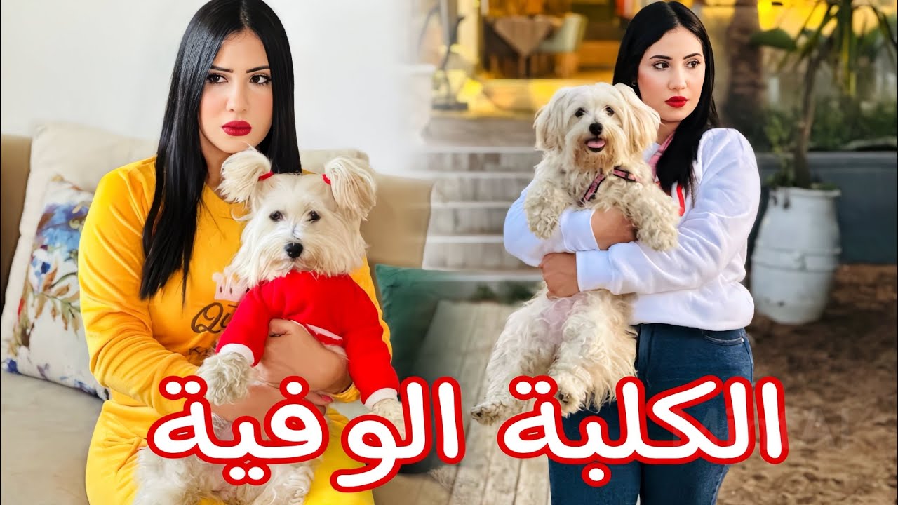 فيلم مغربي : غارو منها و بغاو يحرموها من الكلبة ديالها.. لاكن نهار مشات لفرنسا 🇫🇷(الكلبة الوفية)