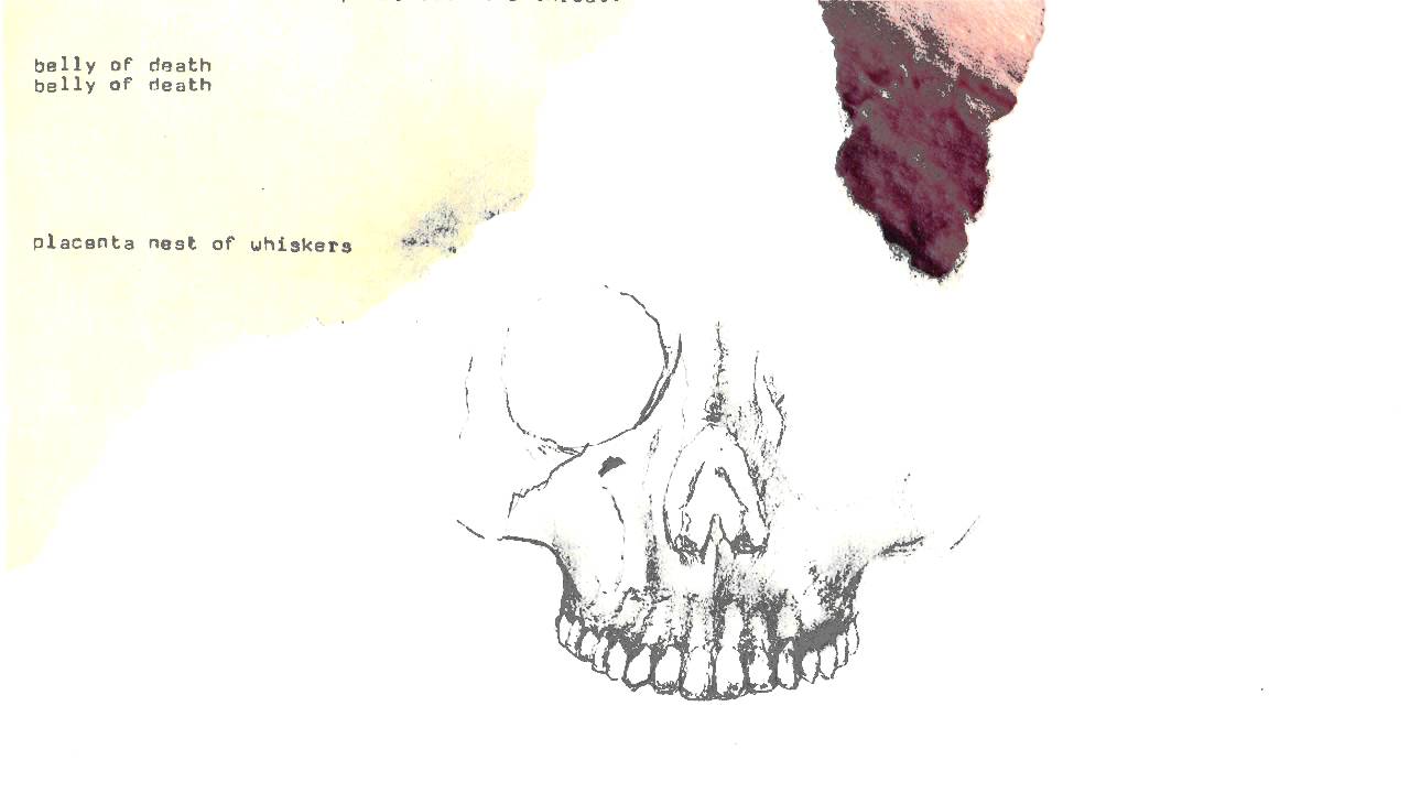 Skin Area & Jarl - Charybdis