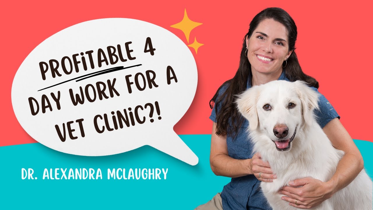How To Make Big Profits With A 4-day Vet Clinic Schedule!