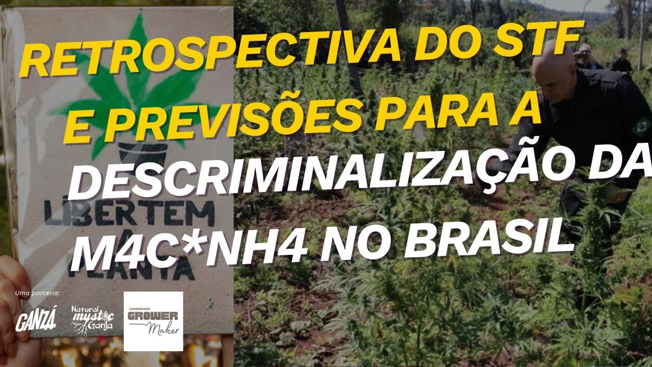 🔥🌿 Aquecimento para o Julgamento no STF: 📢🎥 Amanh&atilde; &eacute; o Dia!