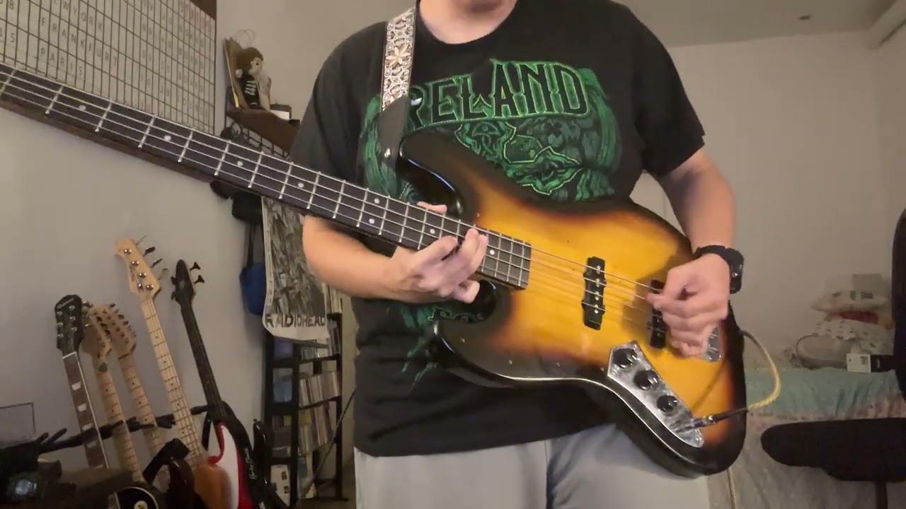 I Just Wasn't Made For These Times - The Beach Boys (Bass Cover)