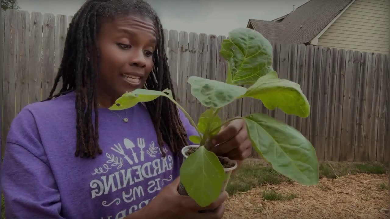 Planting a @GreenStalkGarden Vertical Planter with Herbs & Annual Flowers | Easy DIY Garden Project