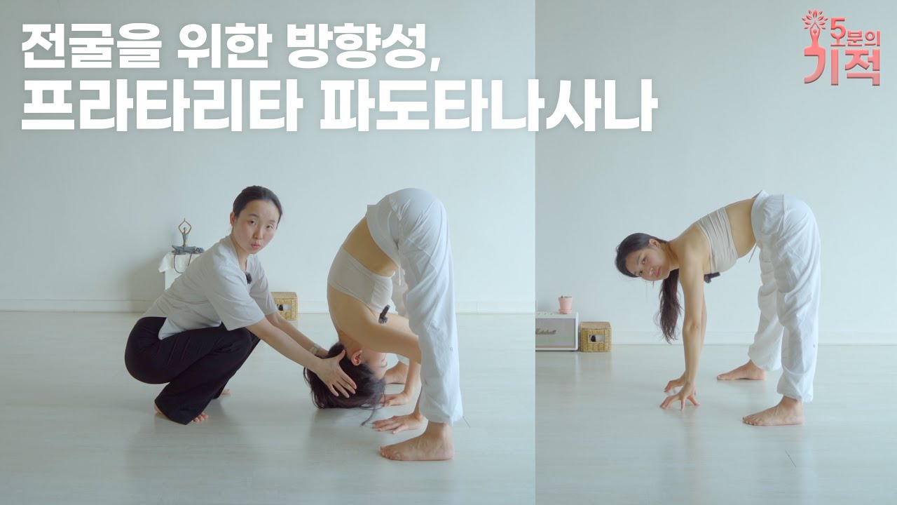 전굴은 이렇게 해보세요👍 서서 전굴, #프라사리타파도타나사나 앉아서도 마찬가지!