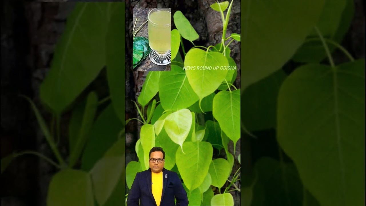 ଏବେ ଆଉ kidney failure କୁ ଭୟ ନାହିଁ 💪😱 AI Anchor odia -  healthy drinks #shorts #health #kidney