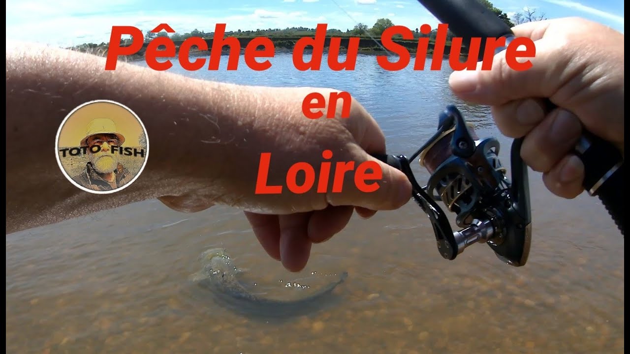 Pêche du SILURE : en LOIRE  , à la cuillère .