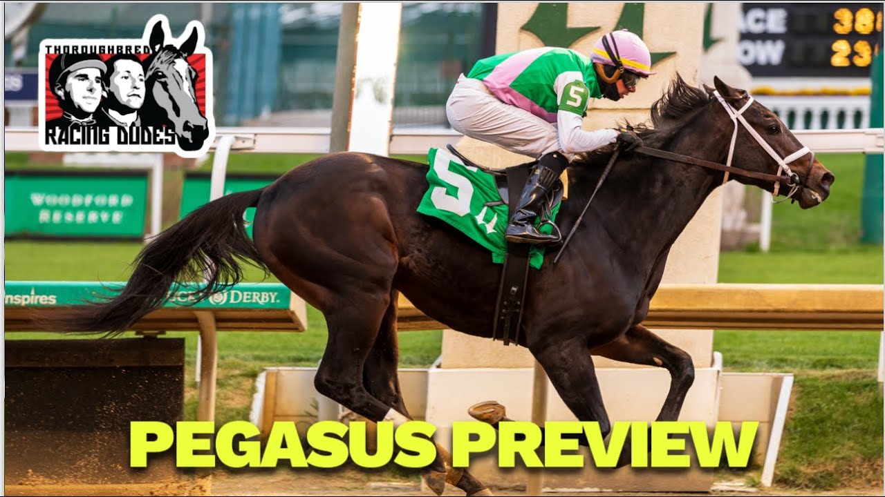 Pegasus World Cup Picks and Preview 2026 | Cox Duo Looms Large in Major Race