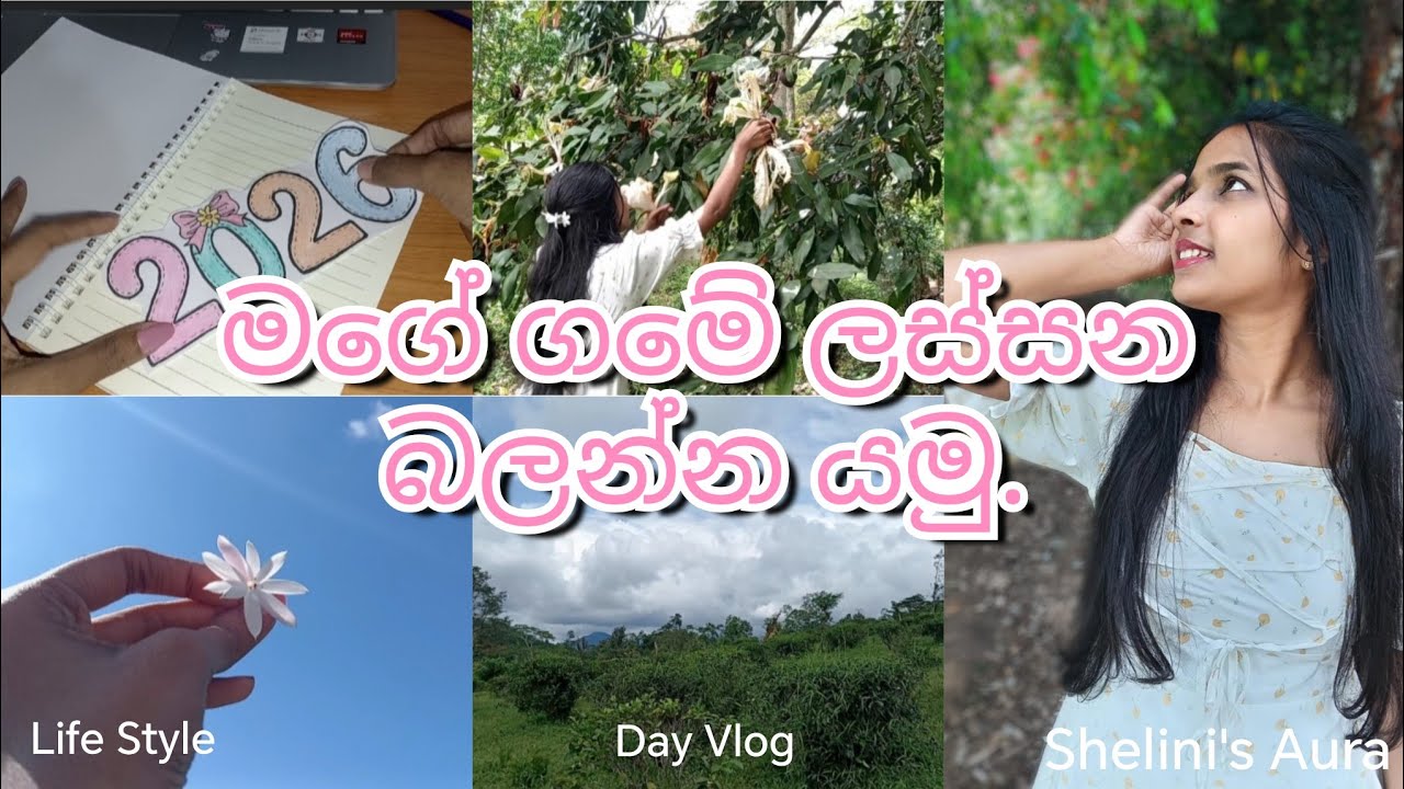 Day in life ✨️.. | Village beauty.. | Shelini's Aura | 2025