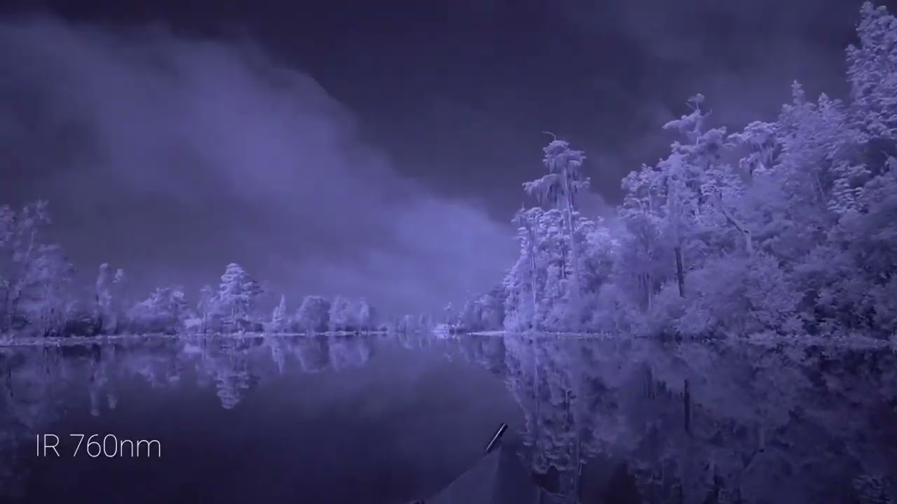 Infrared, Ultra Violet, Full-Spectrum Photography comparison