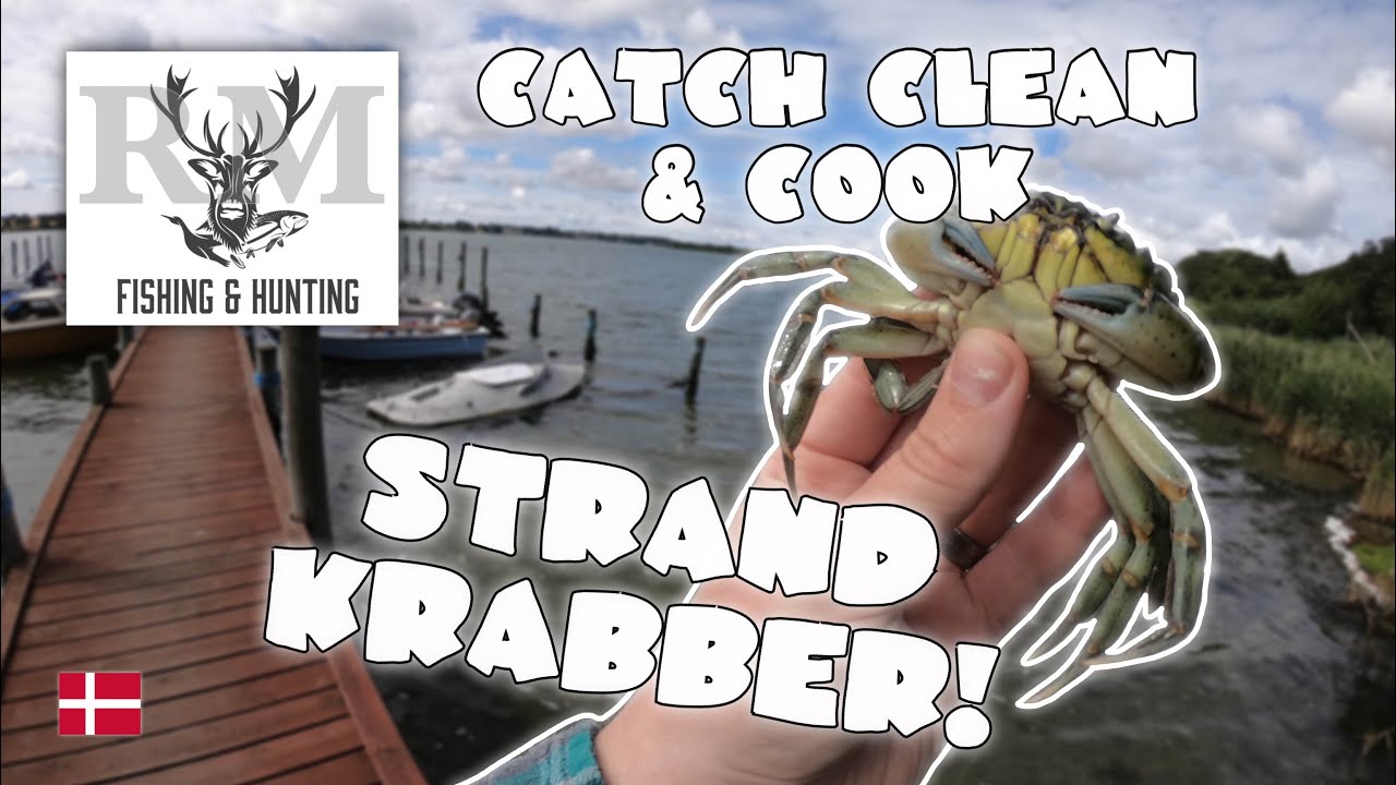 Catch, Clean & Cook - Standkrabber | Krabbesuppe
