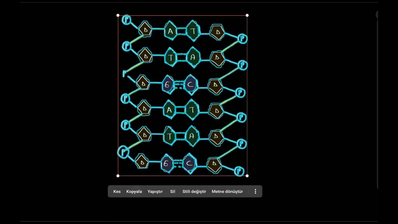 DNA