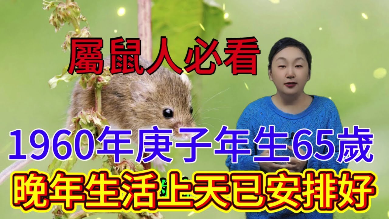 属鼠人必看 1960年庚子年生65岁 一切看似偶然其實早註定，上天已寫好劇本，晚年生活上天已安排好了！#財富 #補財庫旺財氣 #運勢 #分享 #生肖 #命理 #生肖運勢