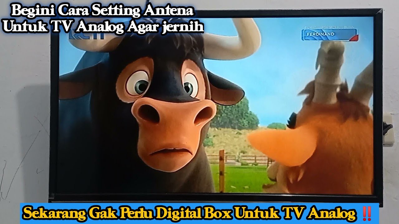 Gak Perlu Beli Digital Box ‼️ini Cara Setting Antena Yang Benar Agar TV Analog Bisa Jernih