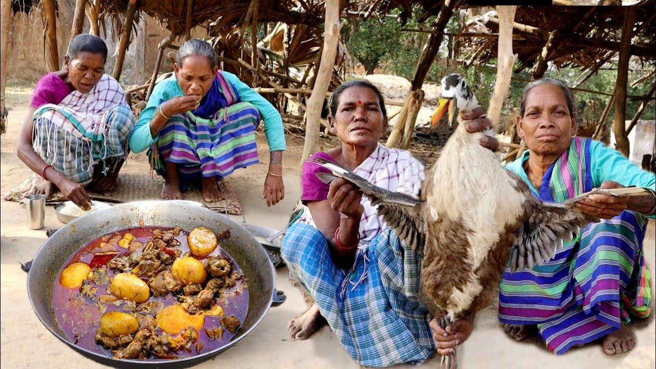 santali grandmother cooking potato DUCK CURRY recipe in their tribal method || duck curry recipe