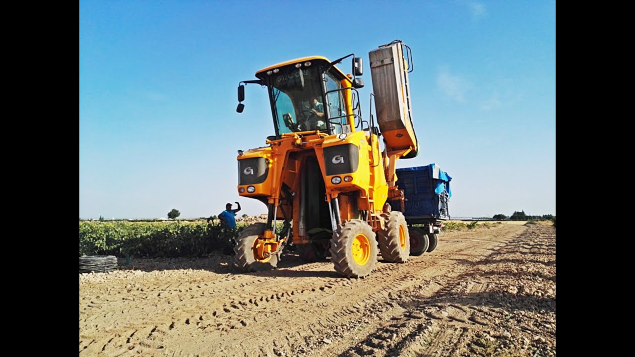 | Vendimia de tinto 2016  | Gregoire | Landini | Zetor | Agrobellon |