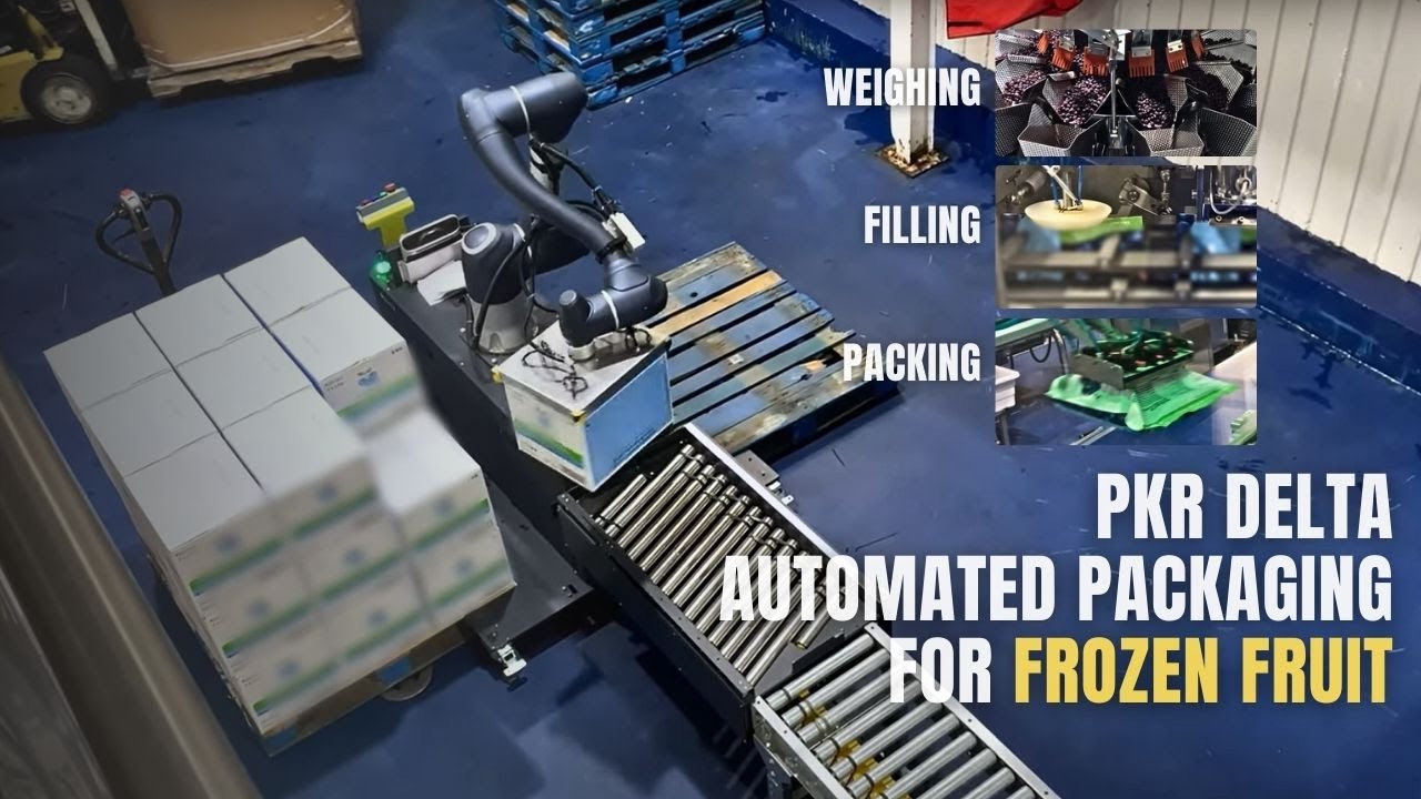 Turnkey Frozen Fruit Pouch Filling, Case Packing & Palletizing System