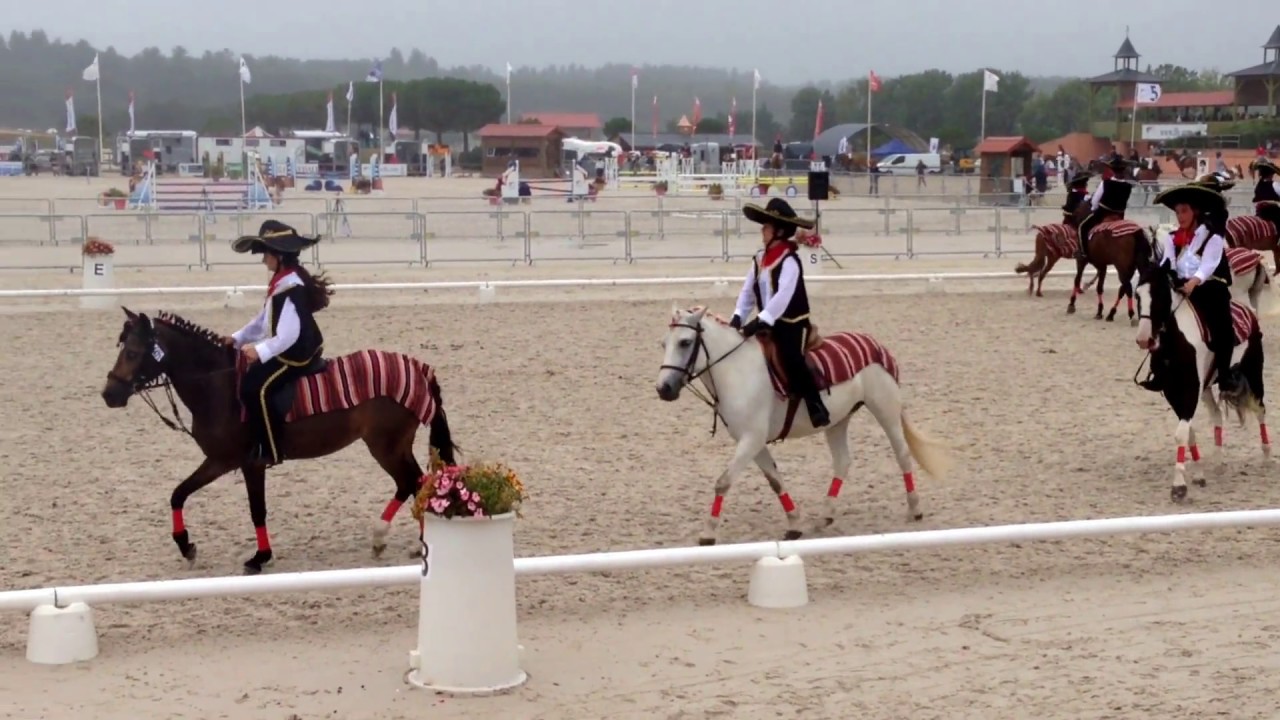 Carrousel open Lamotte 2017