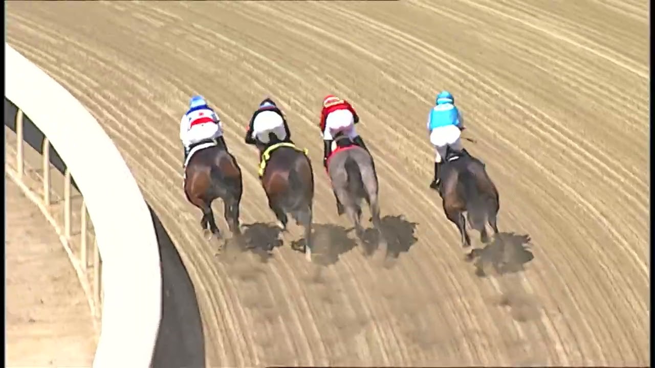 LAUREL PARK 2026-02-27 PL#02_RACE 2