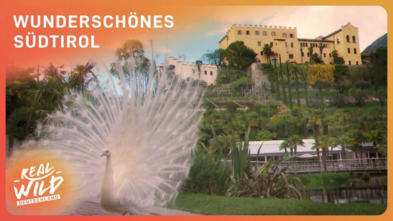 Südtirol: Zwischen italienischem Flair und den Dolomiten | Doku