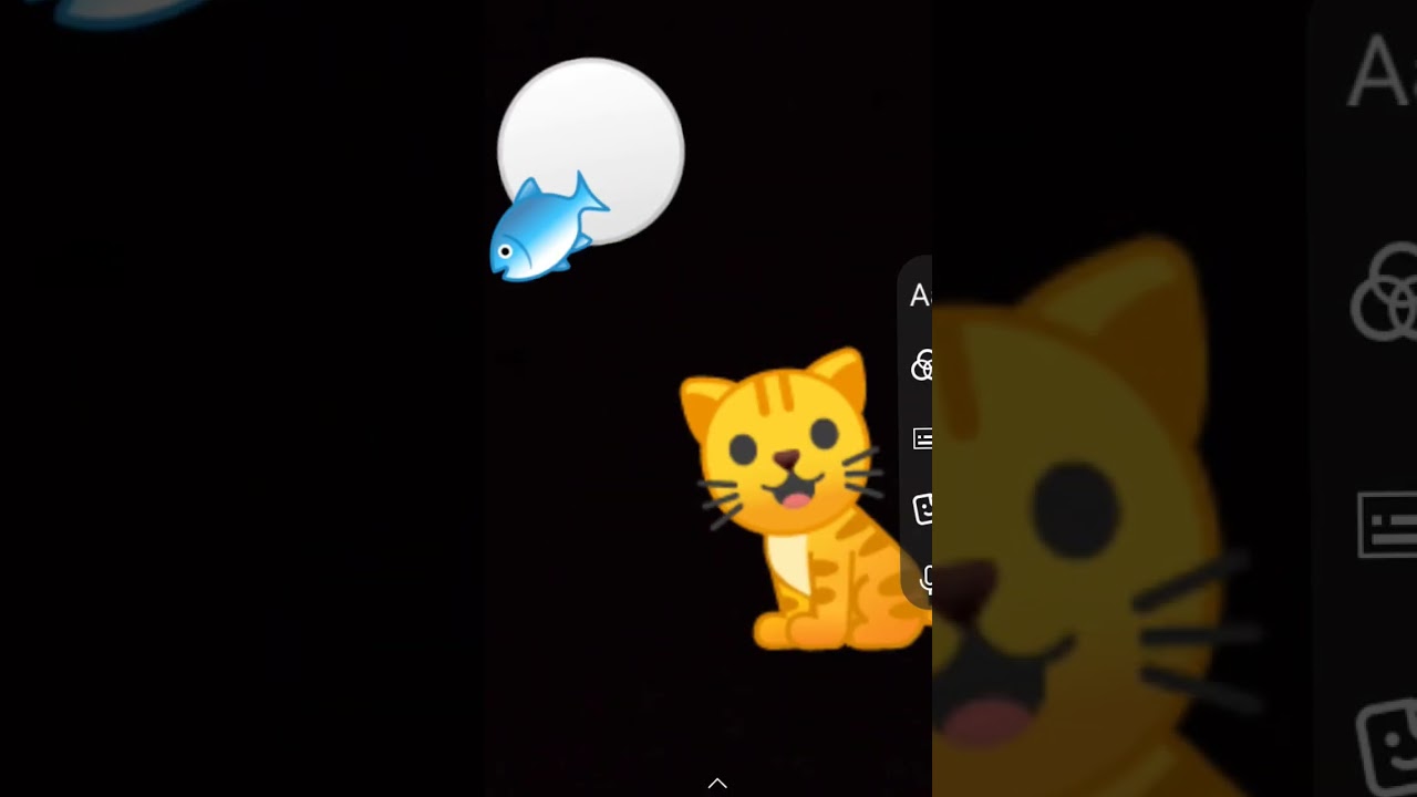 are not a cat?... 
