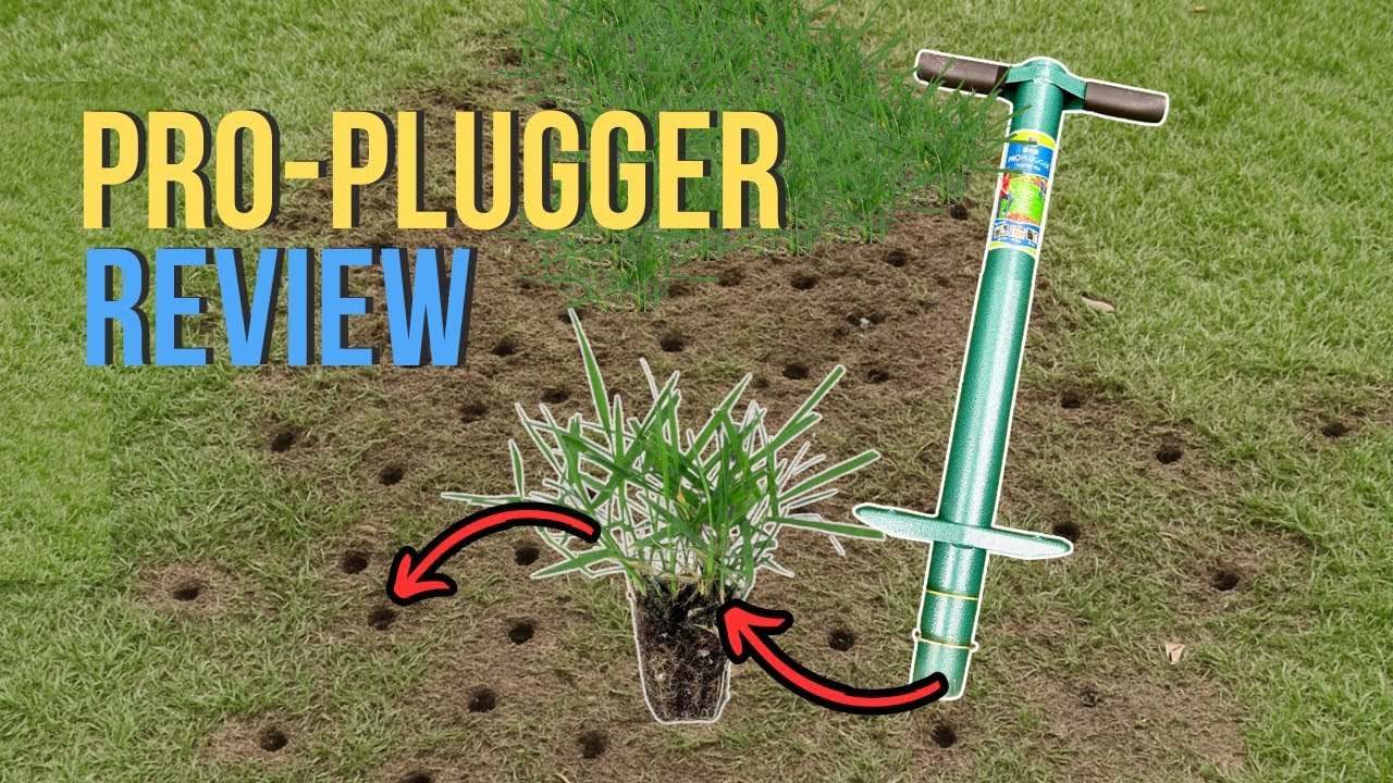 The One Lawn Care Tool You Must Have
