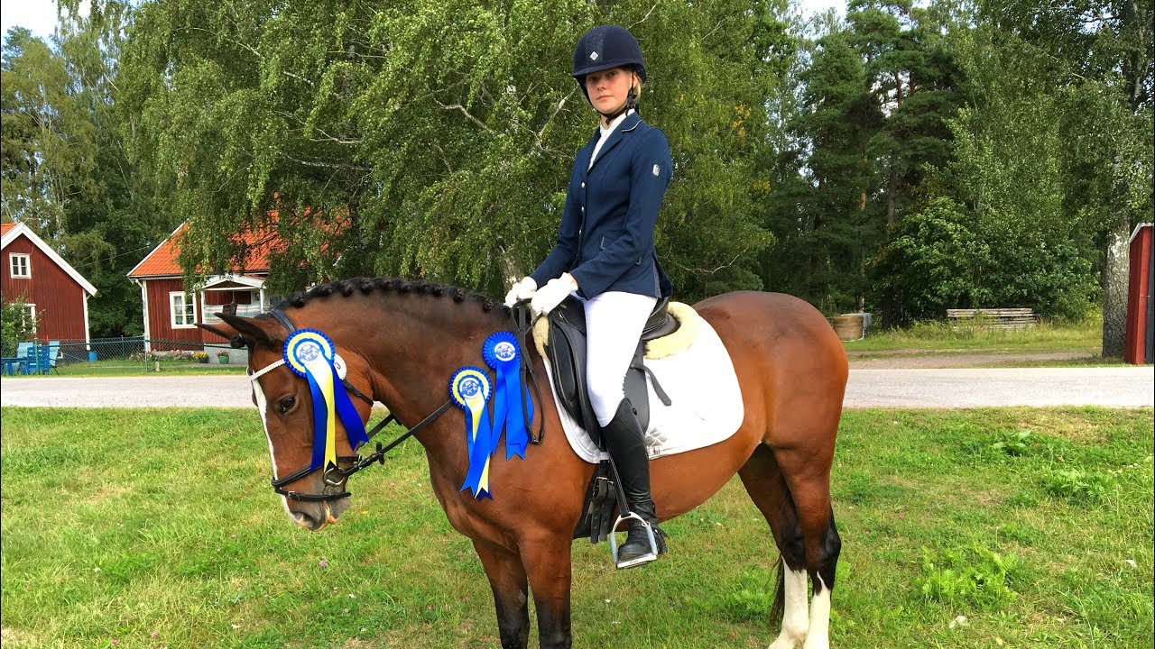 Stackarps Diara - LB:1 2015  - VINST!