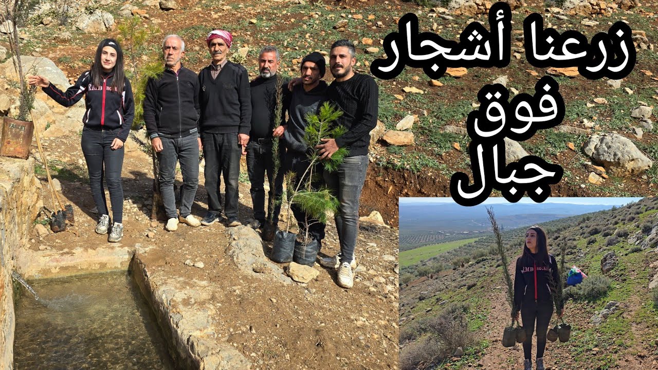 بفضل خير خاز تم زرع اشجار فوق جبال عفرين بيره بلنج⚘️🤲والي بحب يتواصل رقم ابو سمير بالوصف