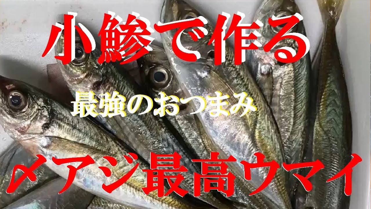 NEW 【小鯵で〆アジ】作り方★鯵釣れたら挑戦して下さい！今日は淡々と作るだけで喋らないから