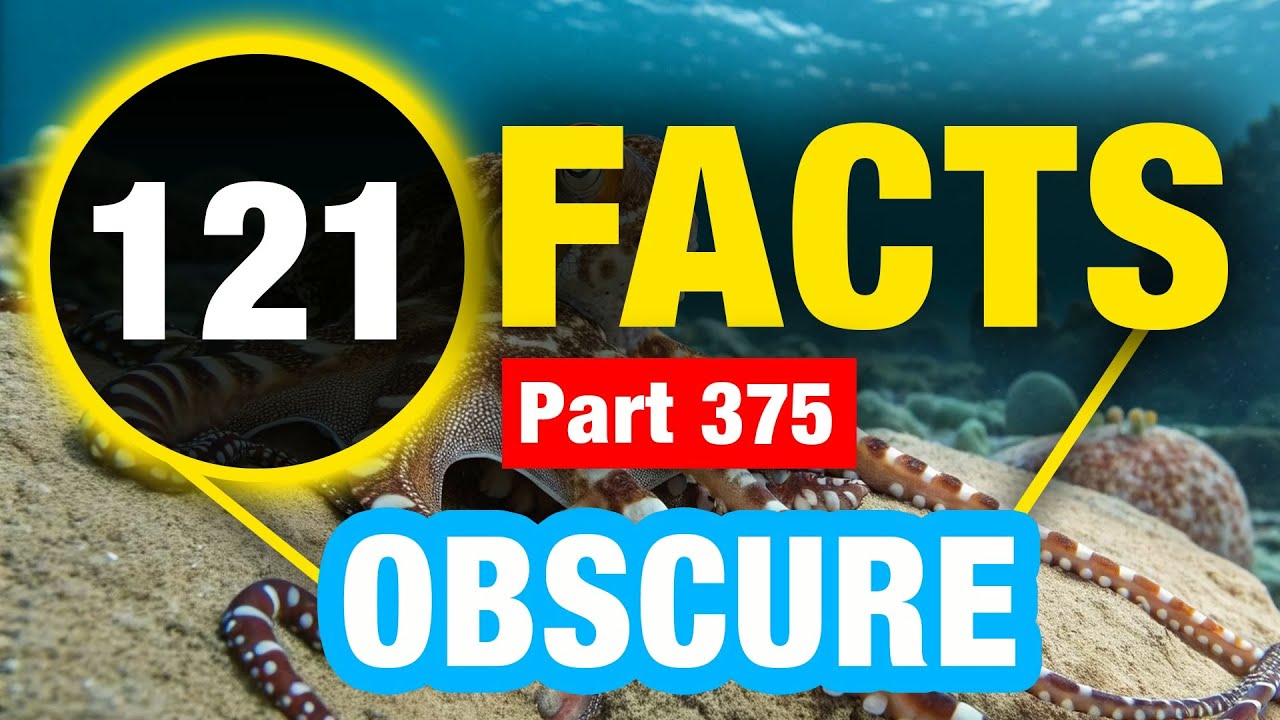 121 Weird Amazing Facts