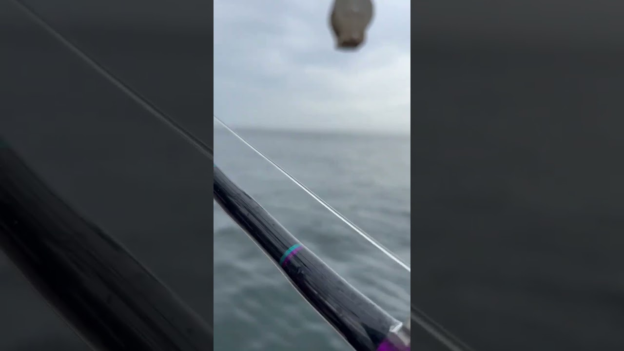 HOW STRONG Are Tuna Rods⁉️😳💪🎣 #tuna #bigfish #fishing #outdoors #shorts #fyp #oceanfishing