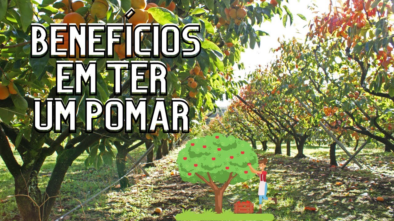 O que &eacute; pomar