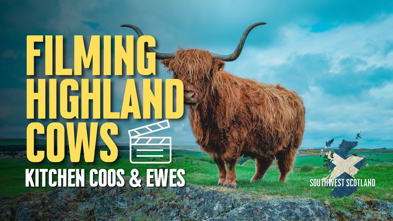 Kitchen Coos & Ewes Tour