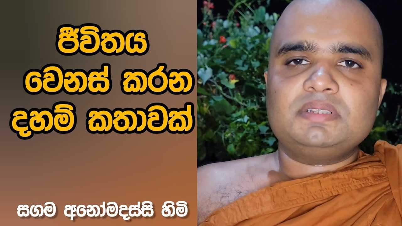 සගම අනෝමදස්සි හිමි - දවස සමාලෝචනය කරන විට මෙහෙම හිතන්න.