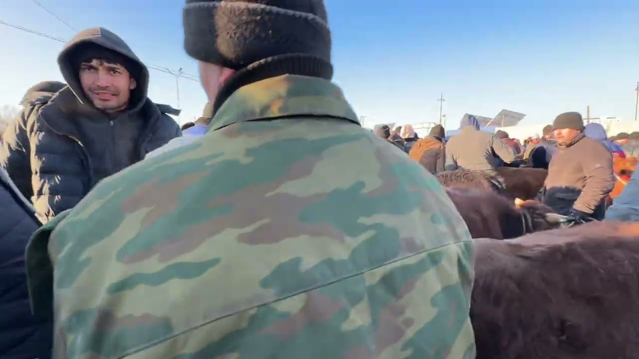 Богот мол бозори ёш бокиладиган хокиз ишкивозлари учун махсус 11 марта 2026 г.