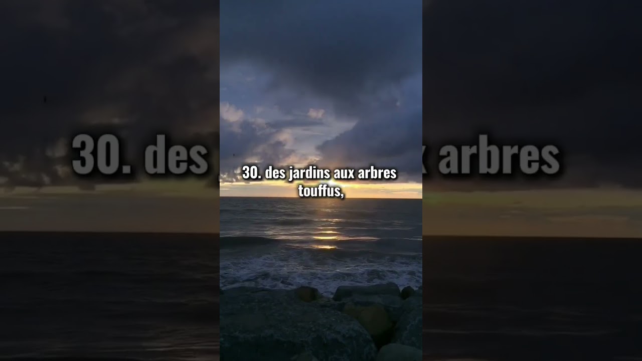 #coran #musulman #surah #surahabasa #muhammadalluhaidan #islamfrance #коран #ислам #мухаммадлюхайдан