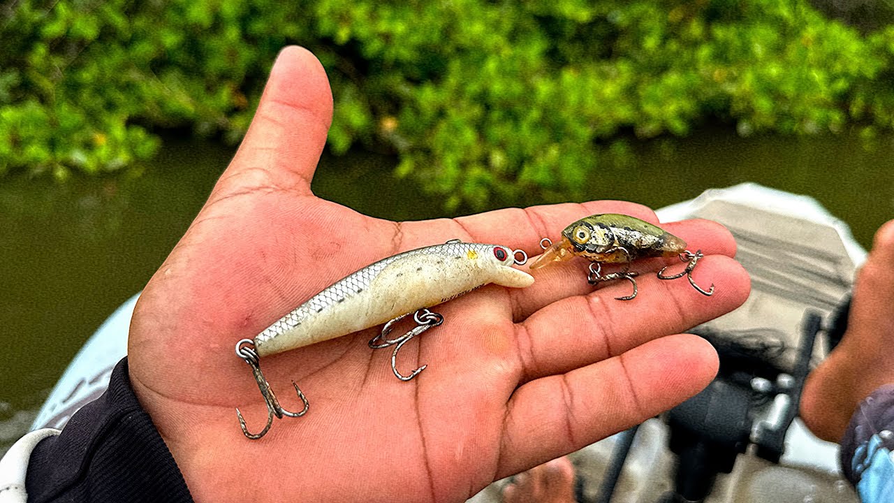 💥EXPLOSÃO 💥 DE ATAQUE NA GALHADA PESCARIA DE ROBALO COM ALTA PRODUTIVIDADE MUITO PEIXE NA LINHA
