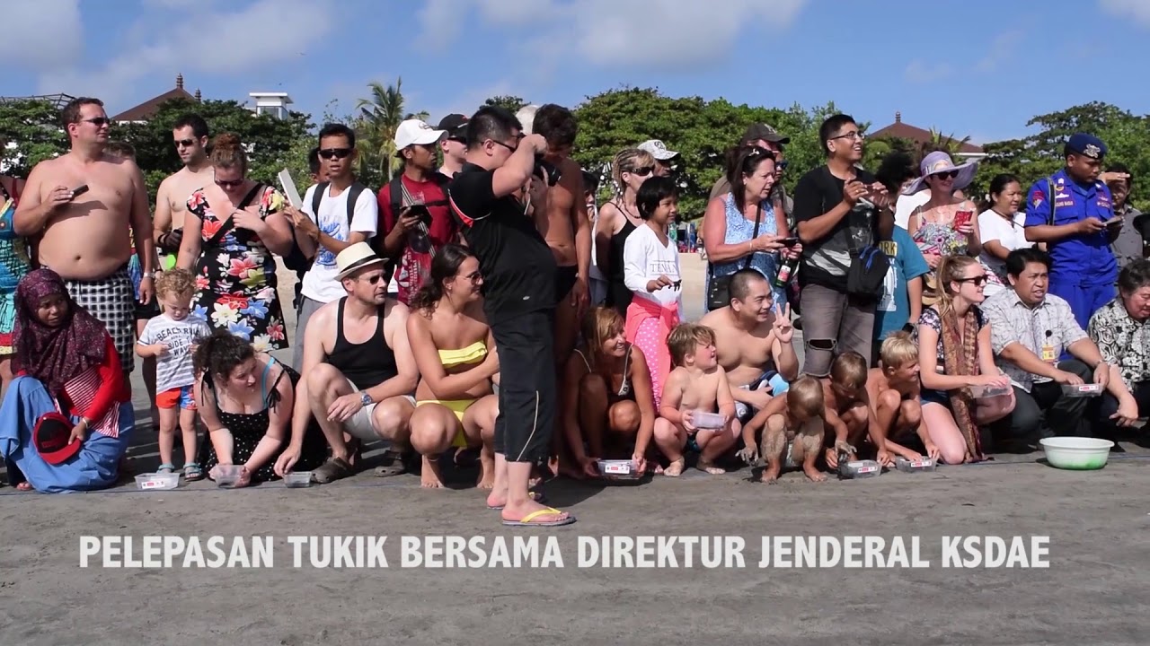 Profil Balai Konservasi Sumber Daya Alam Bali | BKSDA Bali