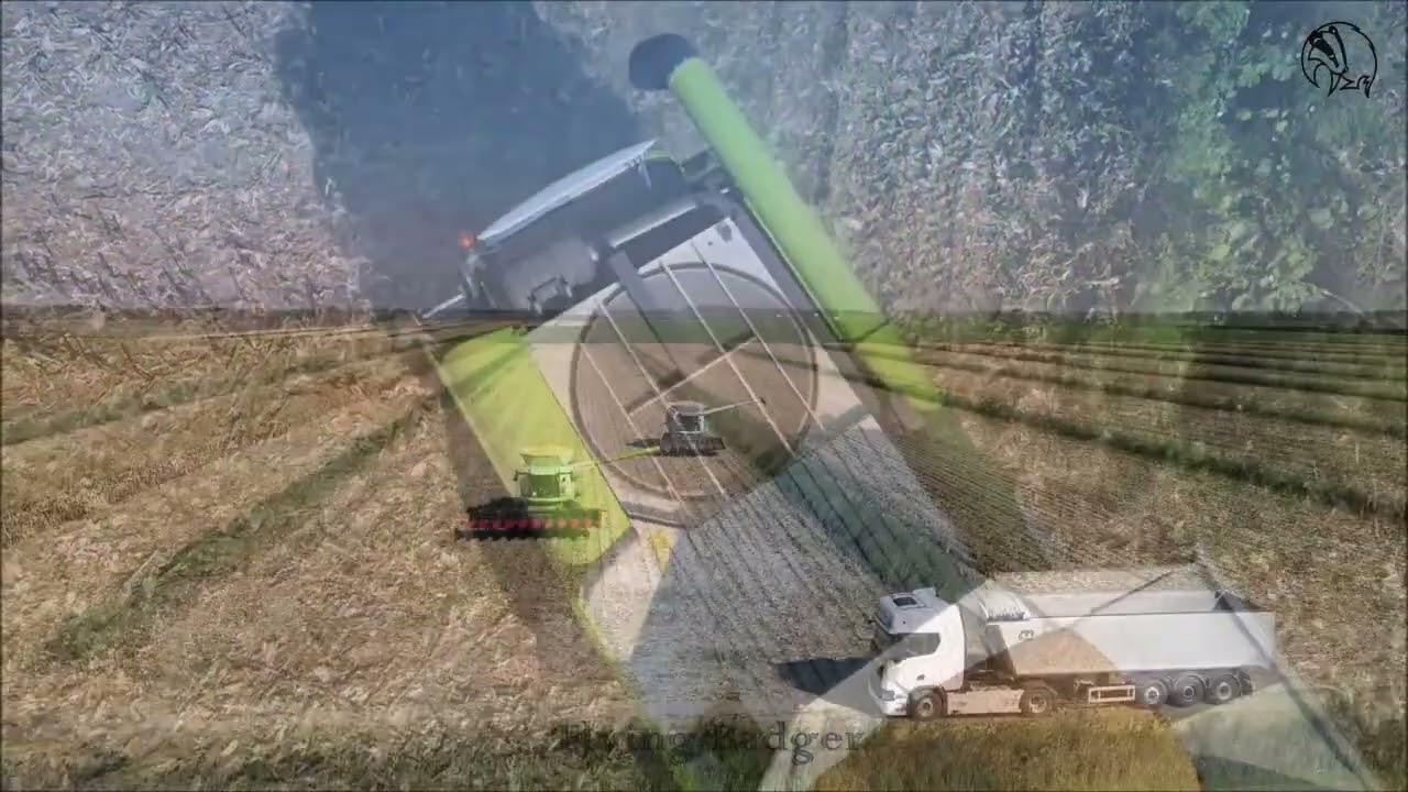 TREBBIATURA MAIS  CLAAS LEXION 770/780 05 09 2025