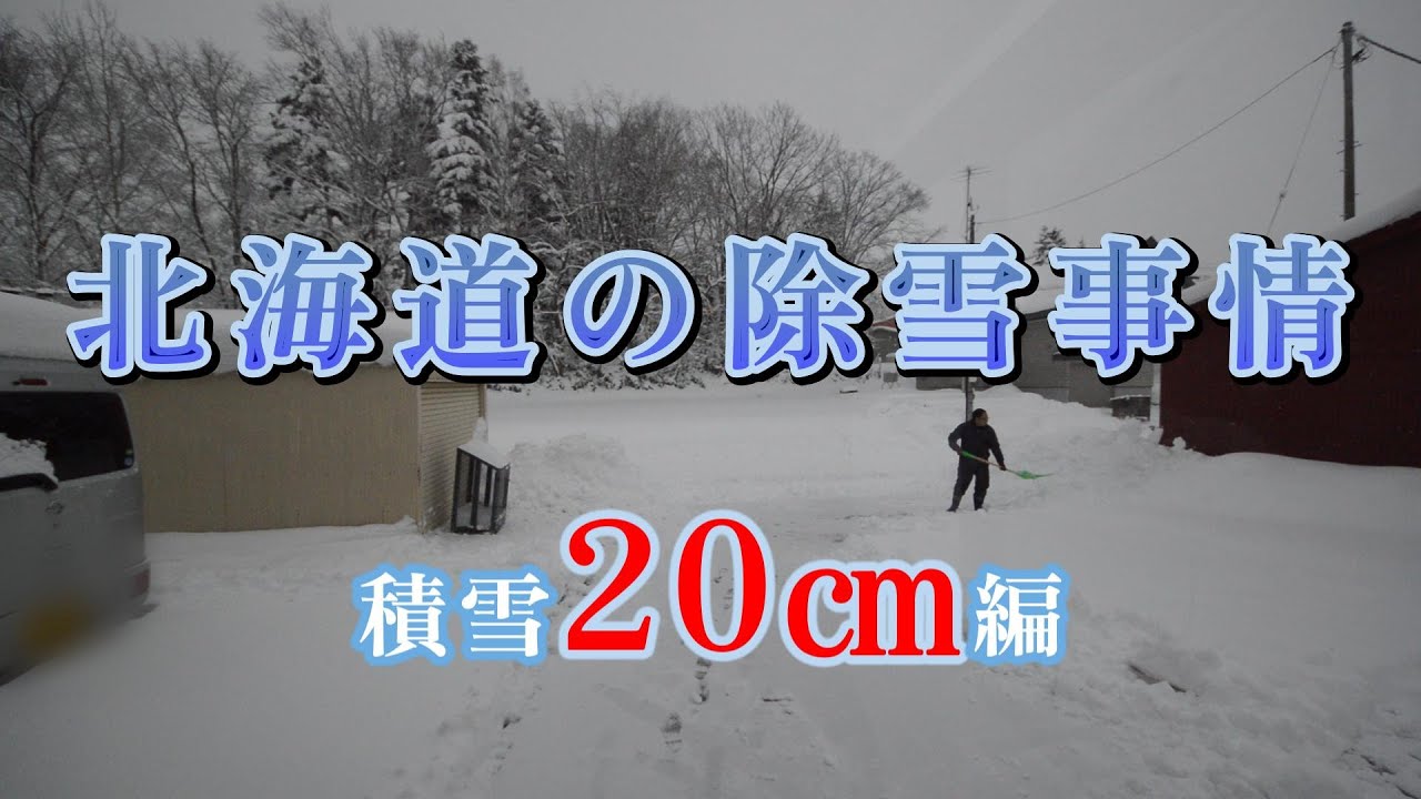 北海道のリアル除雪事情　20㎝編　北海道で移住先を探し隊　番外編　#北海道移住 #戸建て