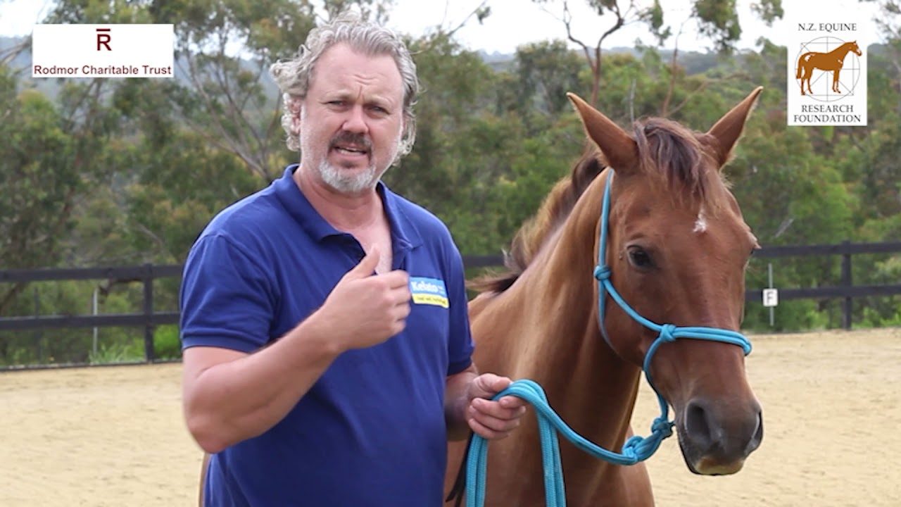 Gastric Ulcers by Dr Ben Sykes