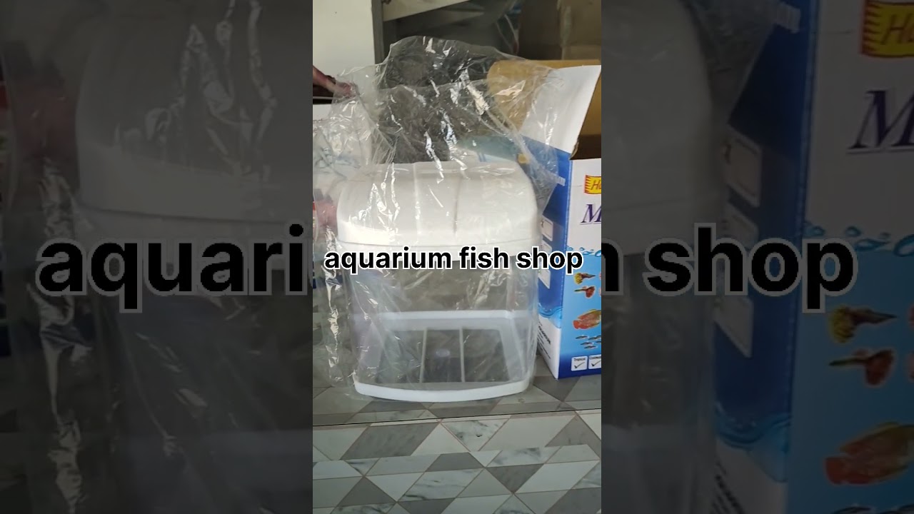 FISH FOODS & ALL FISH TANK ITEMS.#shortsvideo #ytshorts #explore #explorepage #aquariumshop #shop