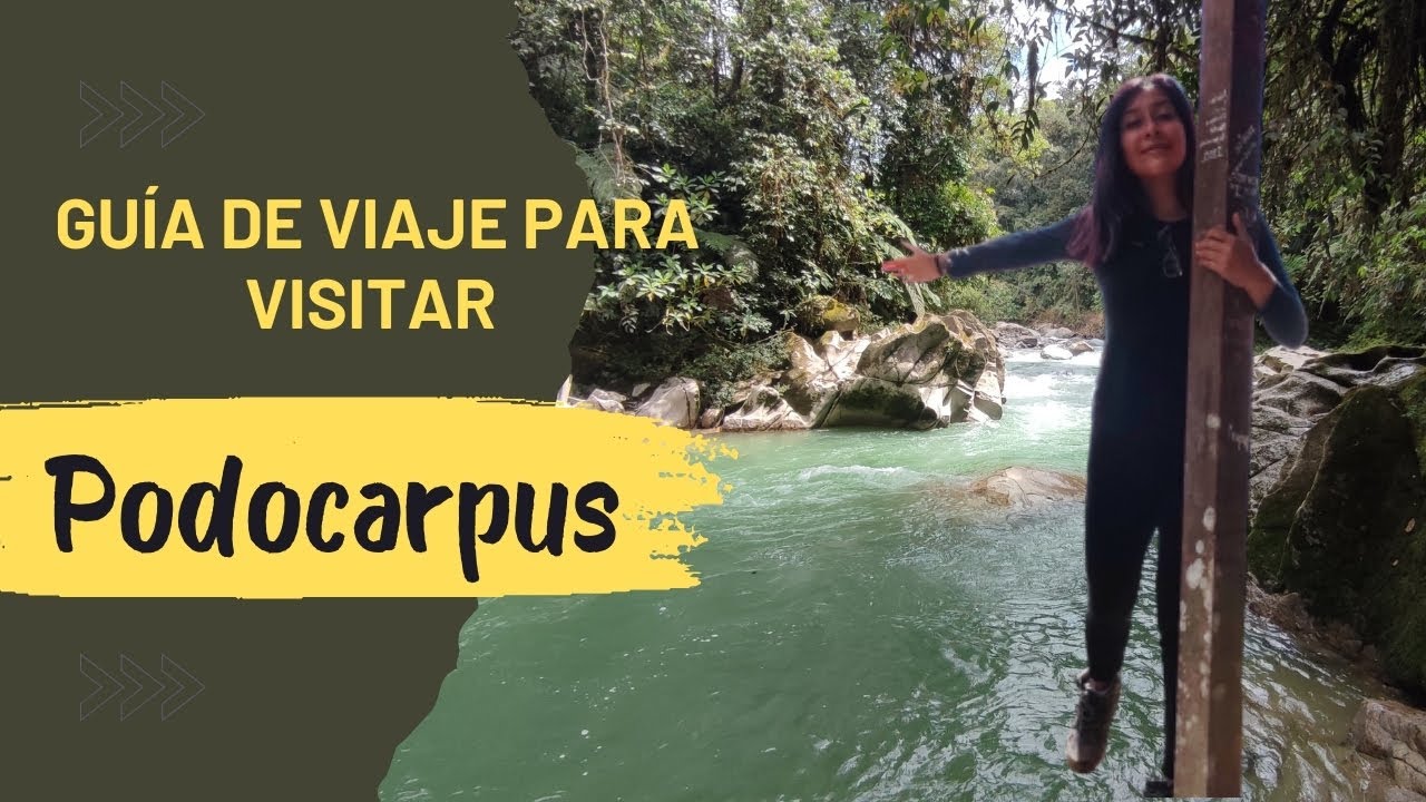 Guía Parque Nacional Podocarpus