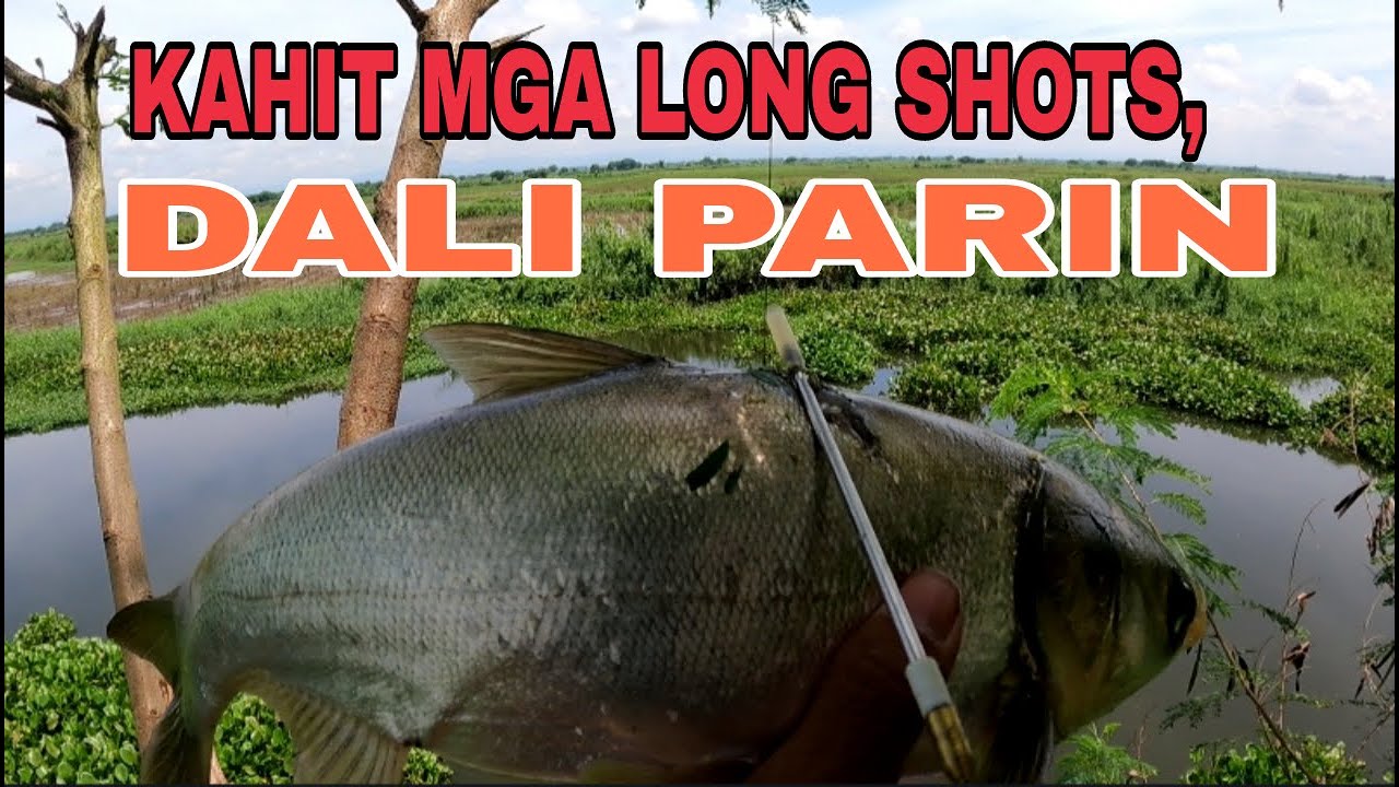NAG AABANG PA KO NG BIGLANG UMULAN /Airgun Fishing /Fishgunerong Madiskarte