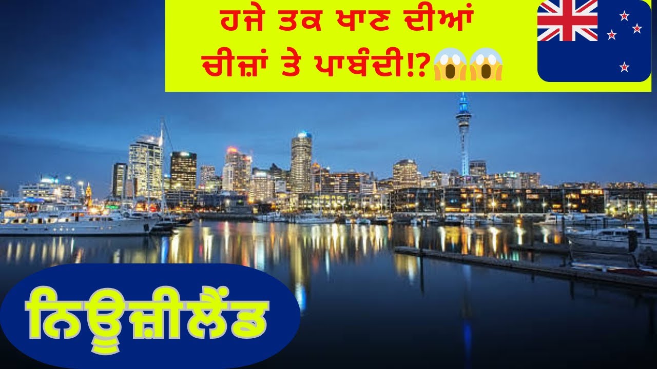 Reality of Developed Countries 😱😱 | New Zealand | 