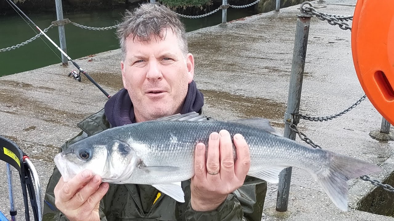 Fishing at Mutton Cove, Plymouth and Wilcove Pier, Cornwall - 7/9/22 & 8/9/22
